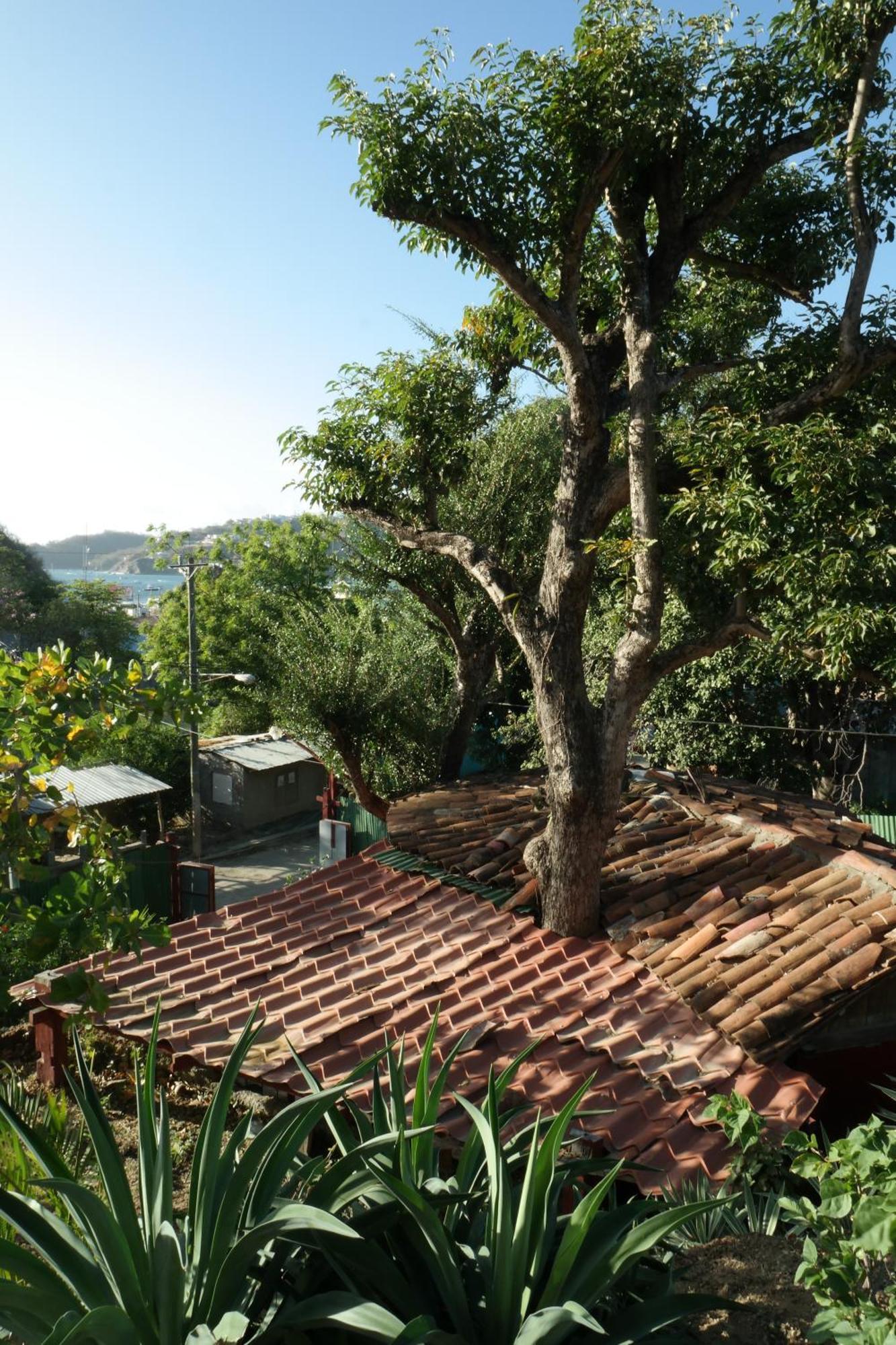 1 Bedroom Cabin, 3 Blocks From Beach And Center Of San Juan San Juan del Sur Esterno foto